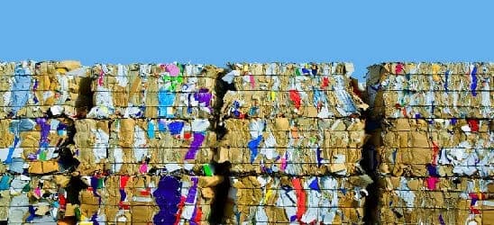 Printing Paper Rolls